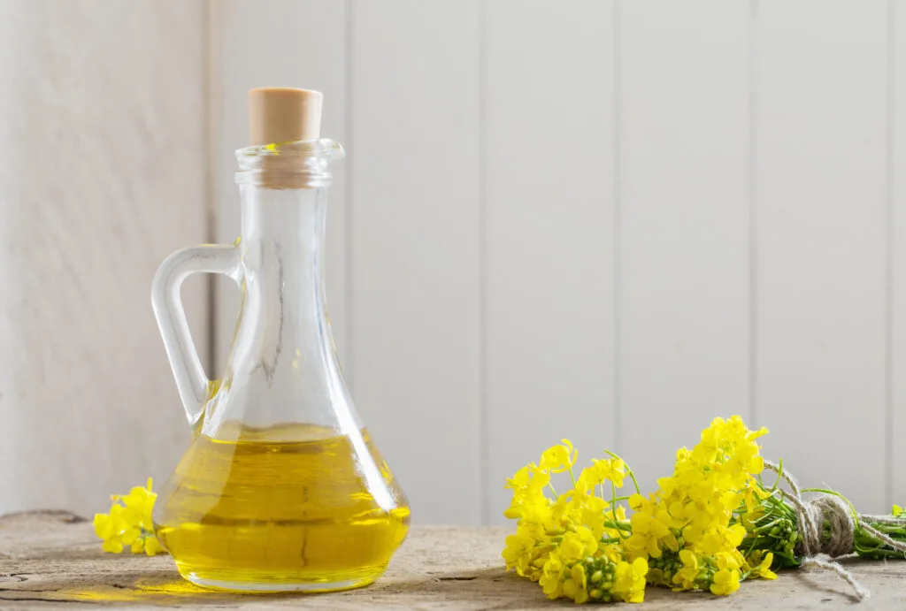 Grapeseed substitute canola oil